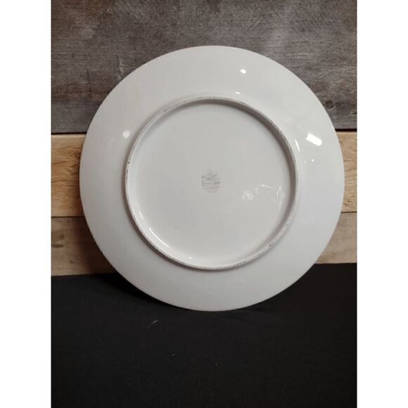 Vintage Belgium Antwerp 100 Jahre Bareuther Waldsassen Collector's Plate - Picture 3 of 4